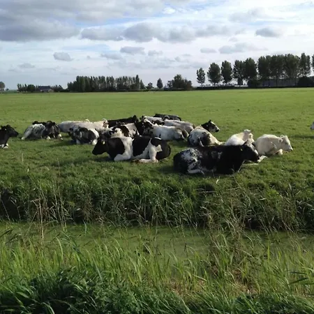 In South Holland By Stompaarde Plas, Cleaning Included 別荘