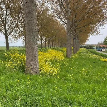 In South Holland By Stompaarde Plas, Cleaning Included * Simonshaven
